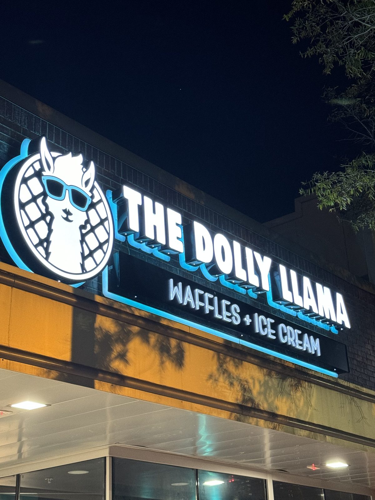 Illuminated Dolly Llama storefront channel letters